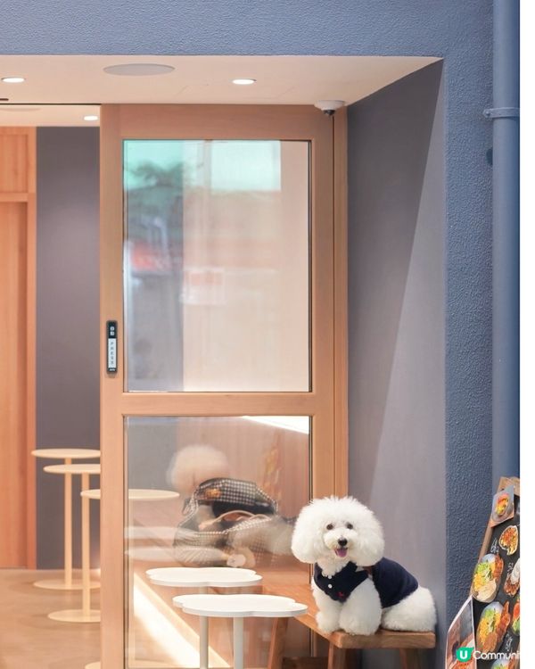怪獸大廈新Cafe！毛孩友善🐶🍦 夏日必試！