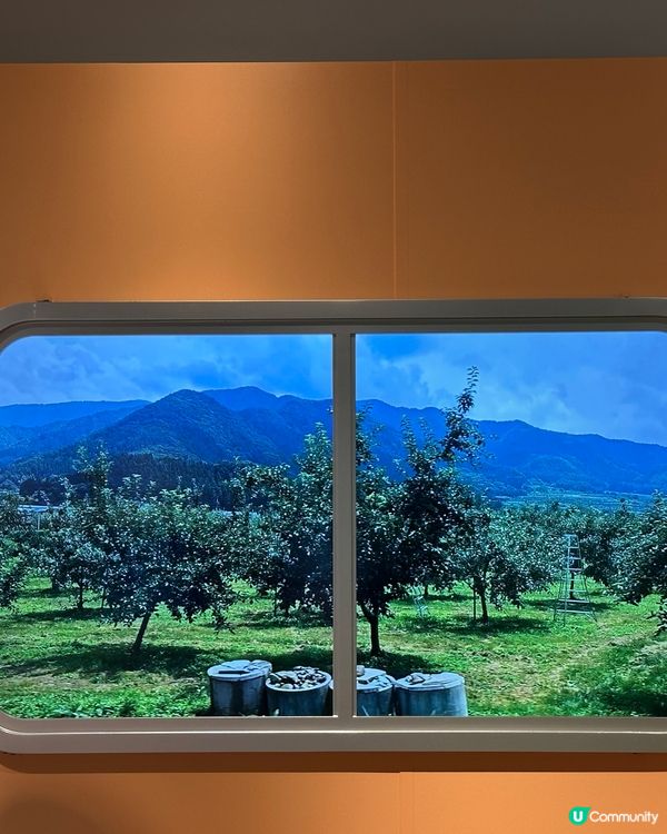 【免費打卡展】🎬 AWA 荷里活鬼才導演視覺美學展覽