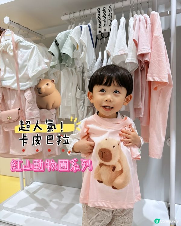 卡皮巴拉✨今天是快樂的寶寶