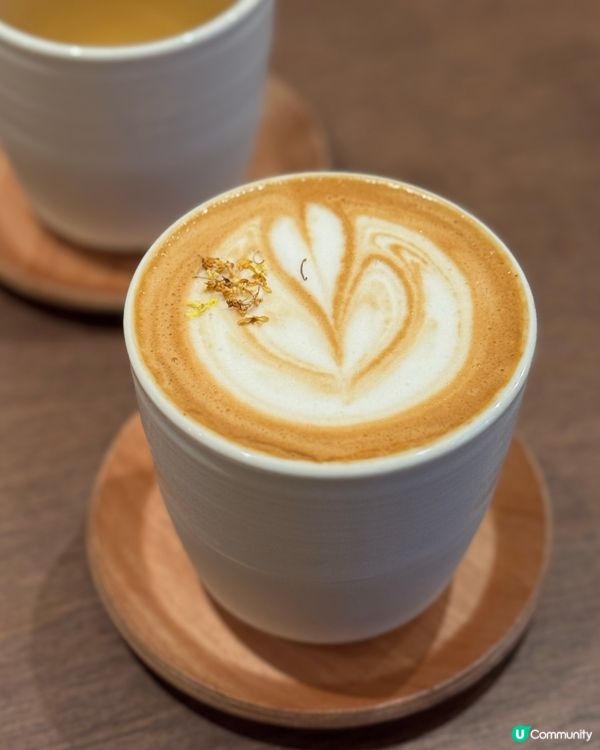 鰂魚涌美食遊記！木系咖啡店☕️😋超正開心果芝士蛋糕💚