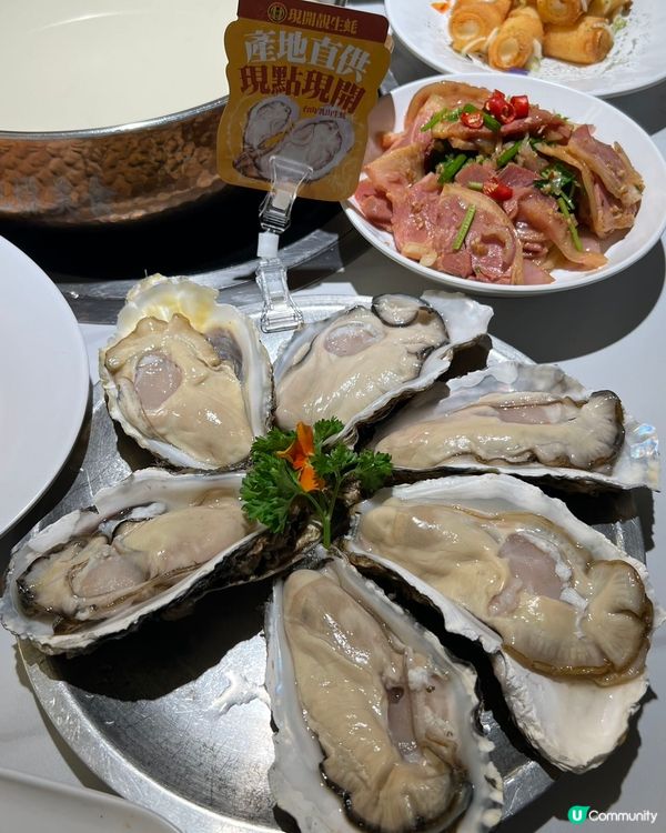 北上第一餐！順德公🤤深圳必食地標！🔥