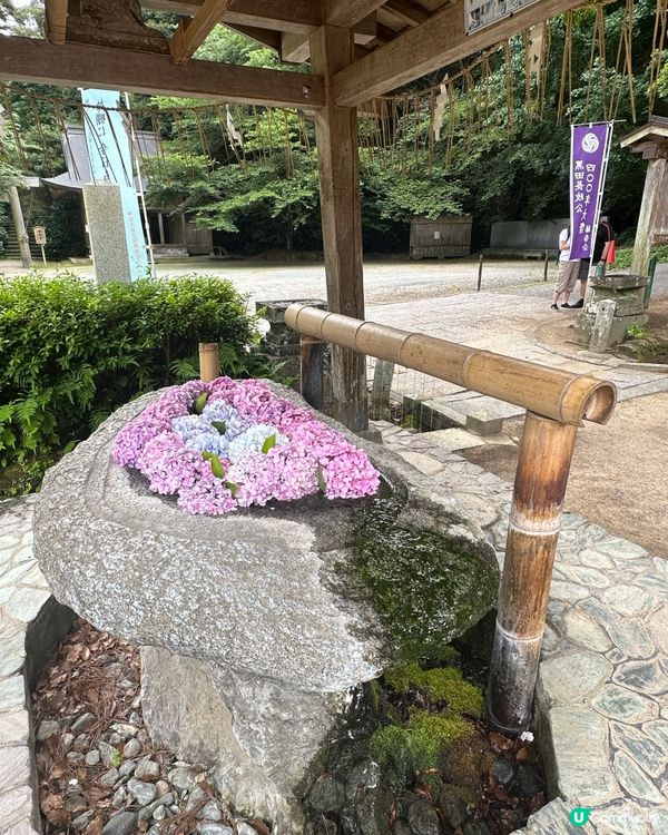 🇯🇵參拜神社⛩️不能不知道的小tips😗