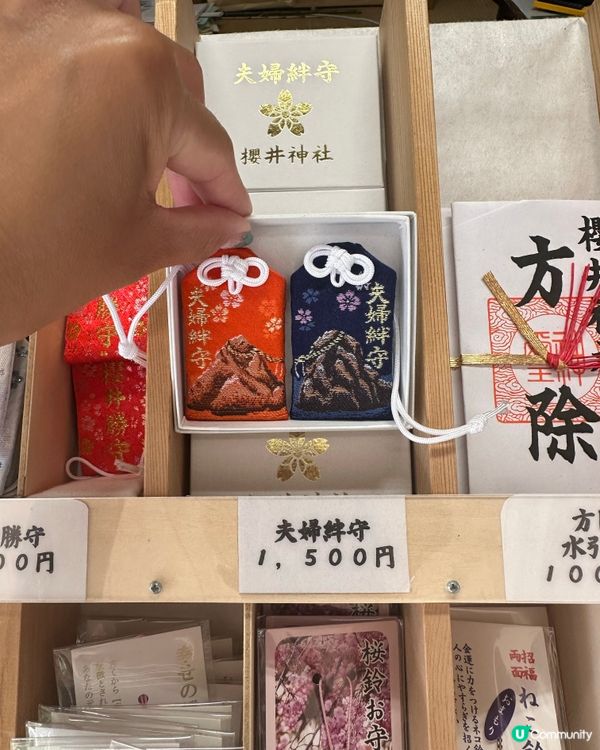 🇯🇵參拜神社⛩️不能不知道的小tips😗