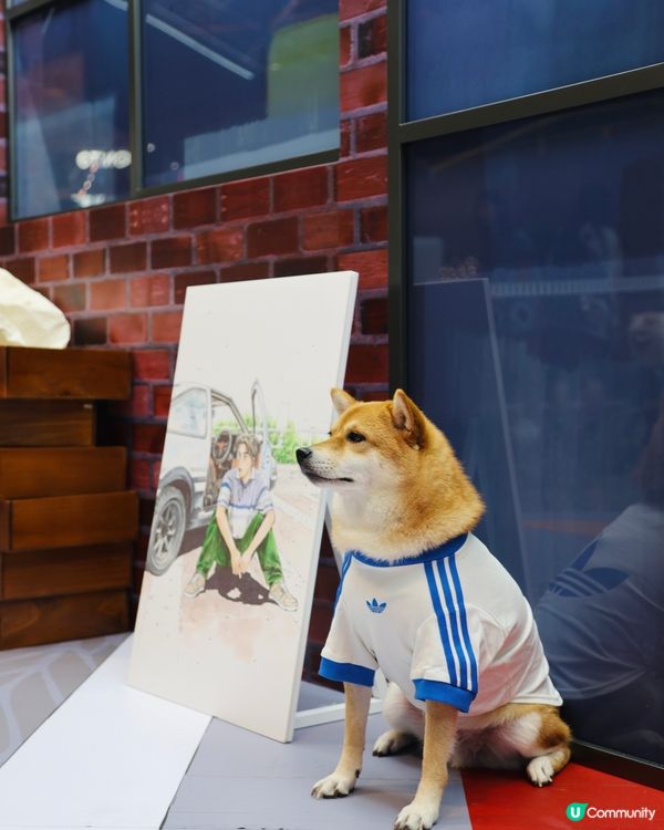 頭文字D期間限定快閃店🎊