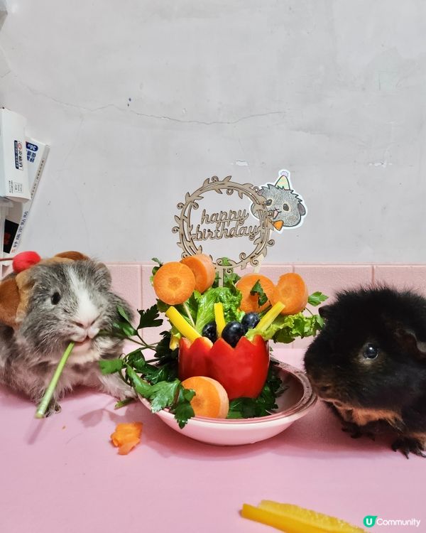 Happy birthday to Woody