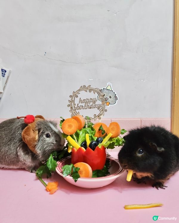 Happy birthday to Woody