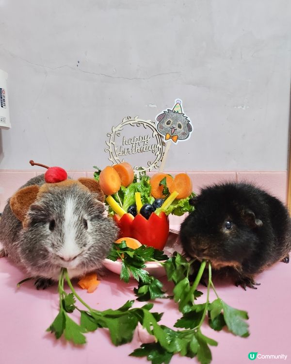 Happy birthday to Woody