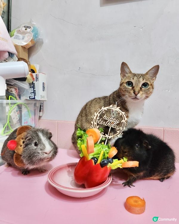 Happy birthday to Woody