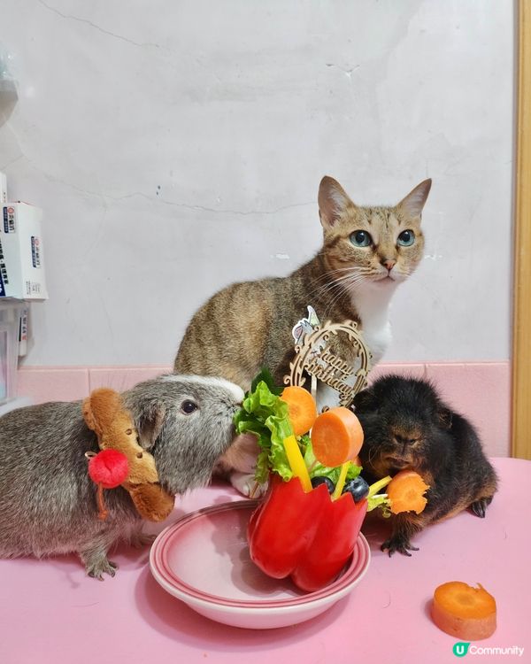 Happy birthday to Woody