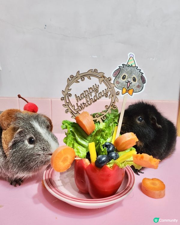 Happy birthday to Woody