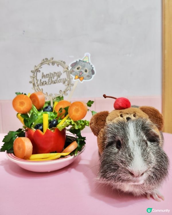 Happy birthday to Woody