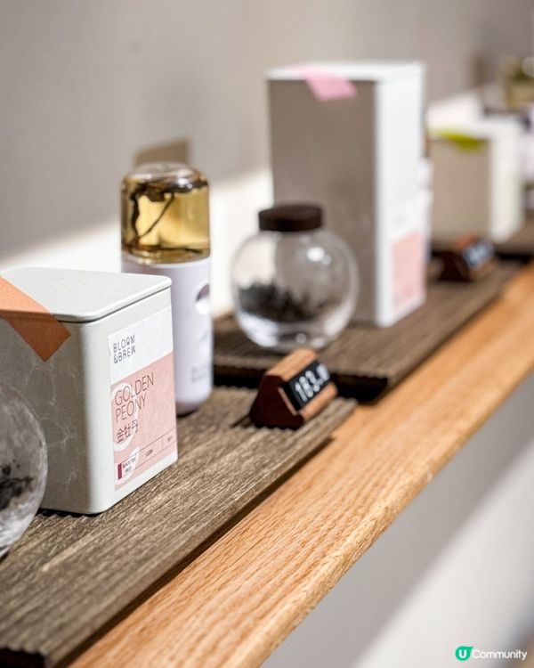 品茶之旅🍵！探索茶嘅奧秘，陳皮壽眉正呀！🤤 