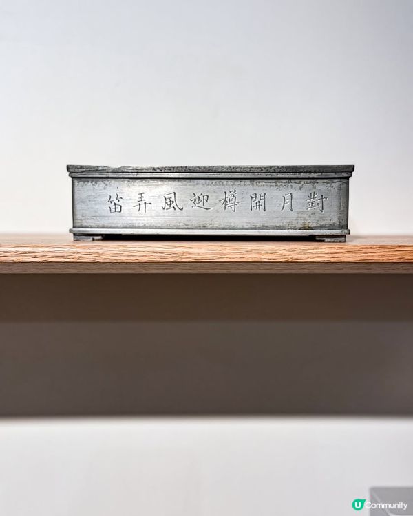 品茶之旅🍵！探索茶嘅奧秘，陳皮壽眉正呀！🤤 