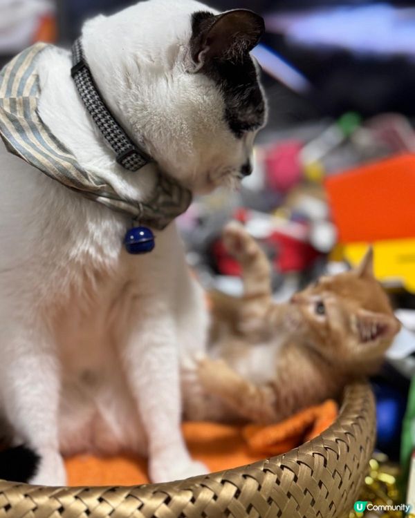 Welcome to our family