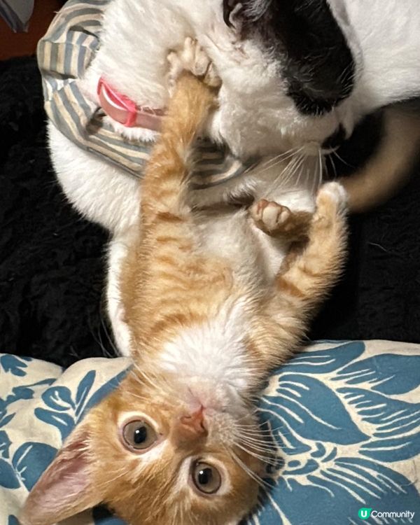 Welcome to our family