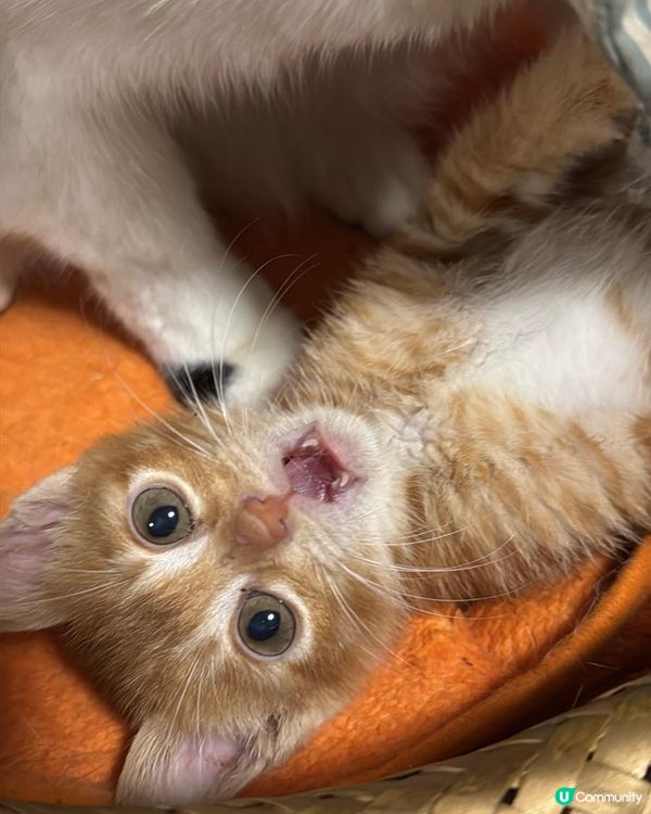 Welcome to our family