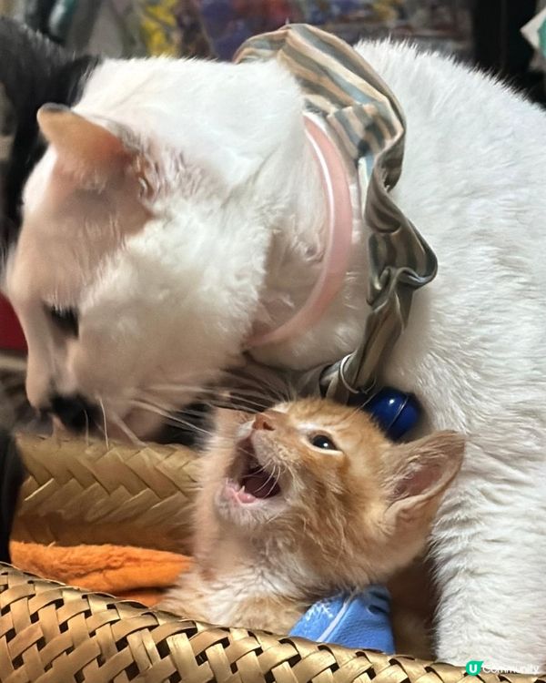 Welcome to our family