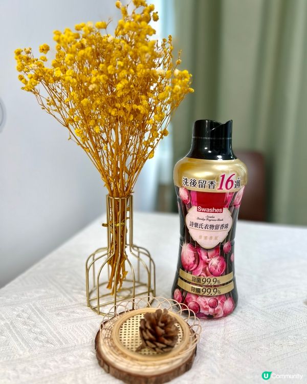 詩樂氏會員制招募