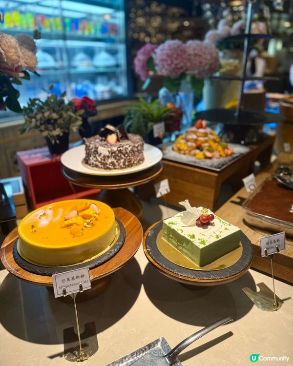 維港夜景任食生蠔和牛！生日必去🥳