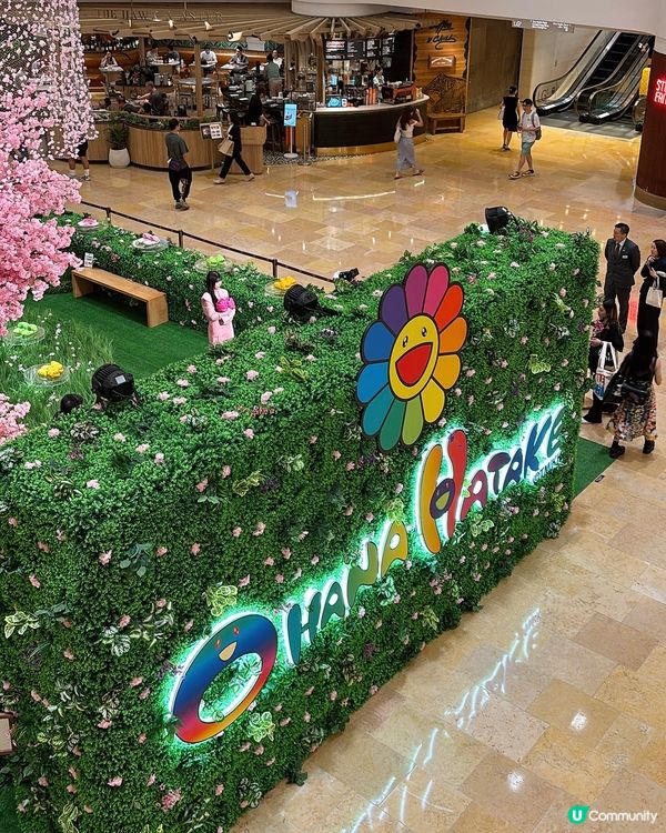 ‼️全港首個「Field of Flowers」主題限定店🌸