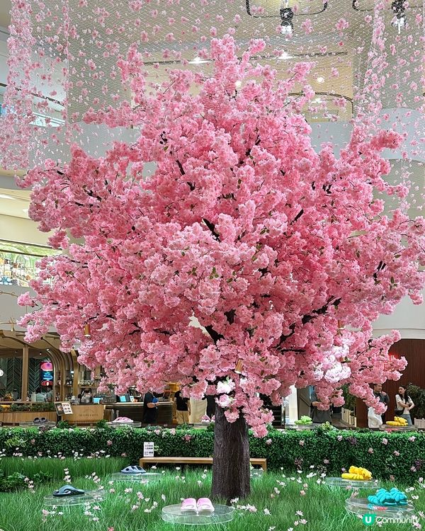 ‼️全港首個「Field of Flowers」主題限定店🌸