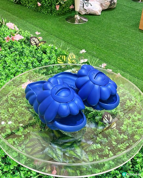 ‼️全港首個「Field of Flowers」主題限定店🌸