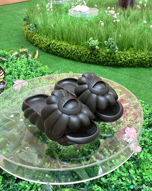 ‼️全港首個「Field of Flowers」主題限定店🌸