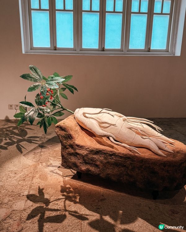 怪誕植物藝術展