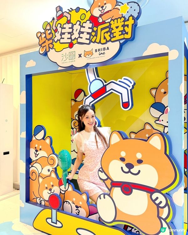 可愛柴犬出沒注意 🐶 