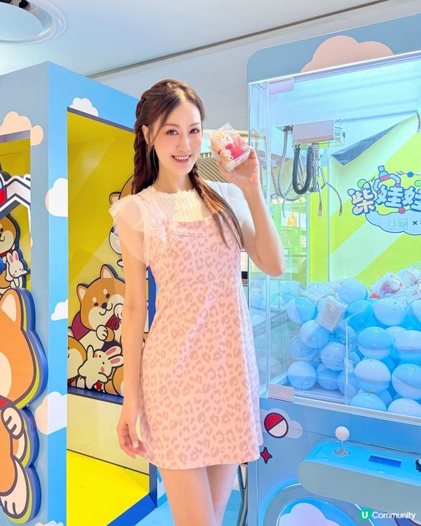 可愛柴犬出沒注意 🐶 