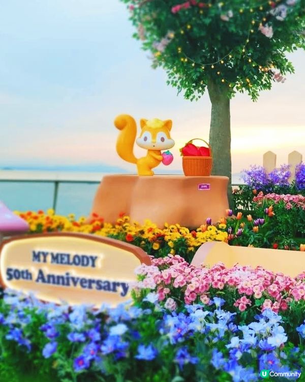 💥海港城夏祭！🎉MyMelody 50周年打卡必去！📸