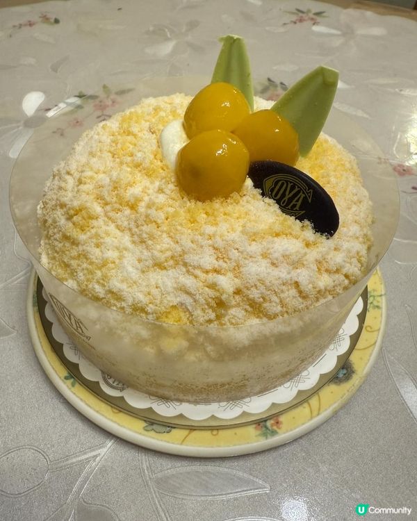 COVA🥭🥭Mango Cream Dome🥭🥭