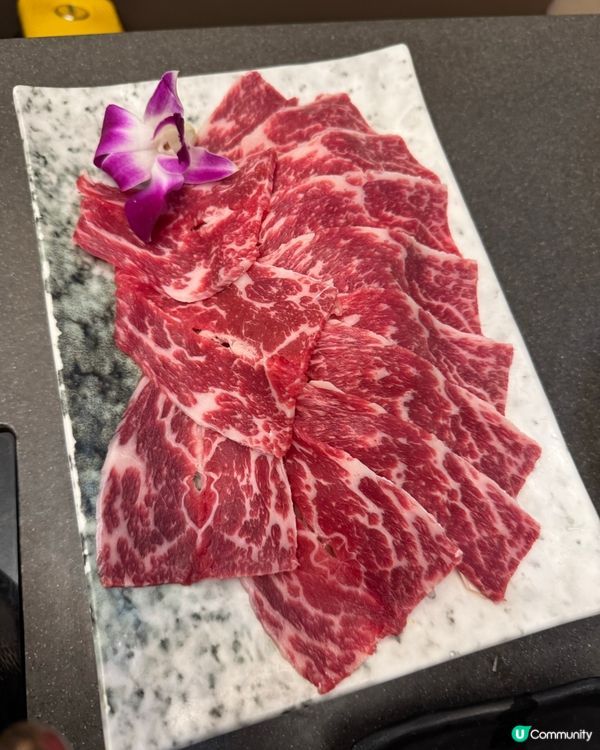 有playroom 既打邊爐🍲！仲有大大隻新鮮龍蝦🦞