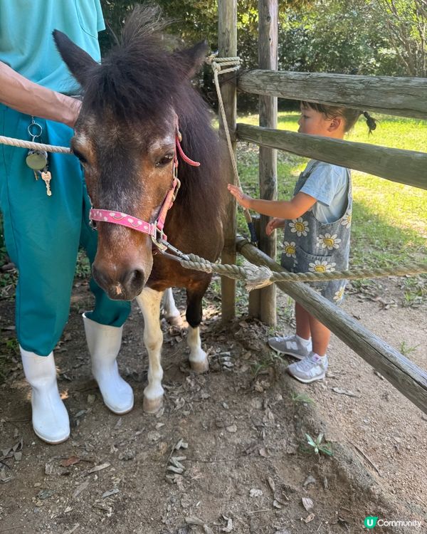 親親卡比巴拉 🐾