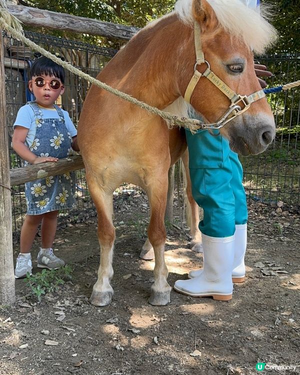 親親卡比巴拉 🐾