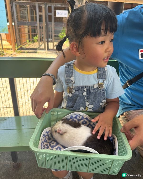 親親卡比巴拉 🐾