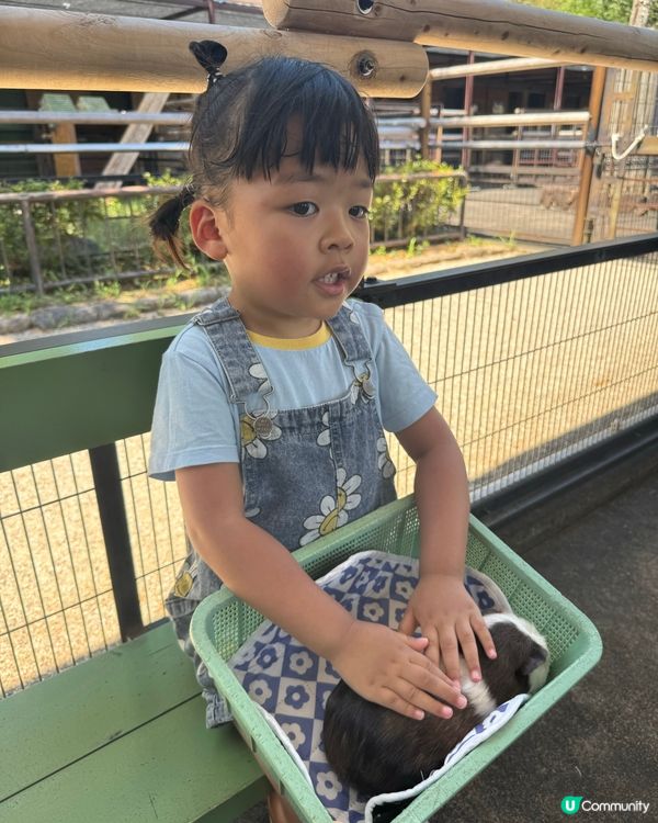 親親卡比巴拉 🐾