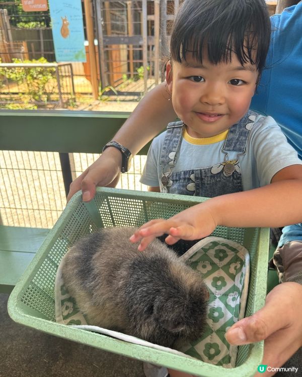 親親卡比巴拉 🐾