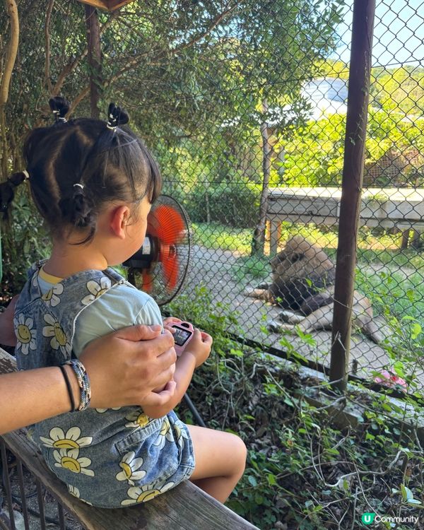 親親卡比巴拉 🐾