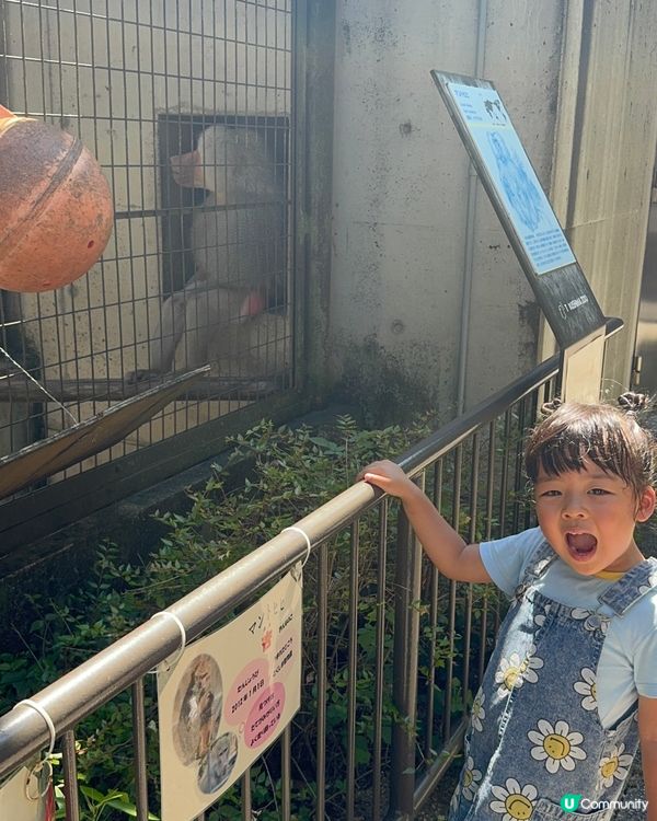 親親卡比巴拉 🐾