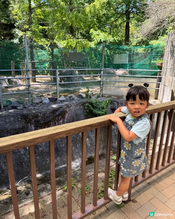 親親卡比巴拉 🐾