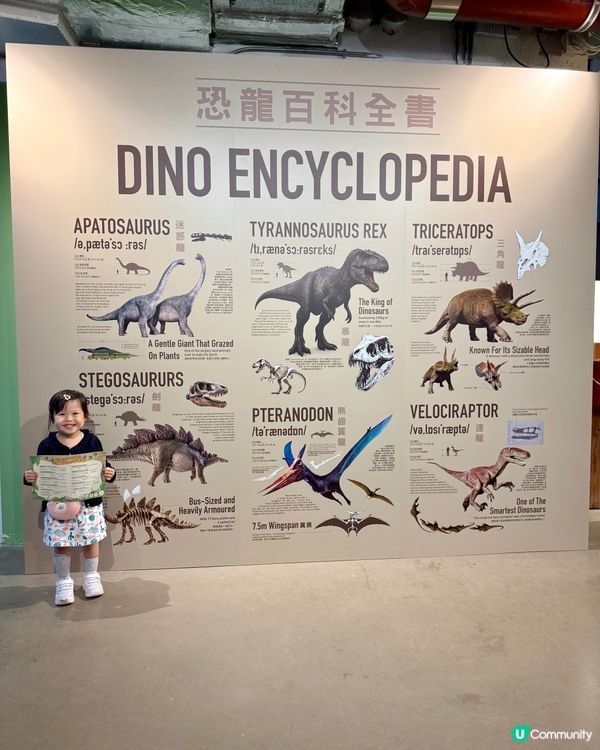 南豐紗廠 小小恐龍探險家🦖