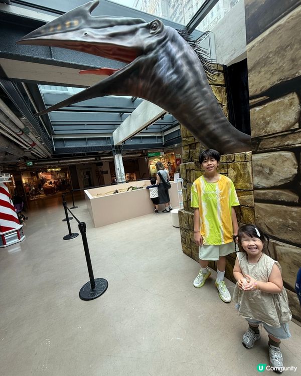 開心果節！南豐紗廠等你嚟😋！