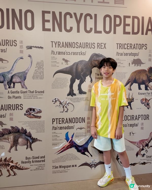 開心果節！南豐紗廠等你嚟😋！