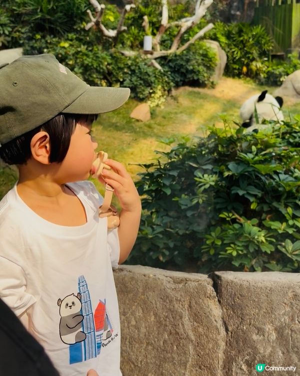 暑假去海洋公園玩🐼！一家大細勁開心🥳！