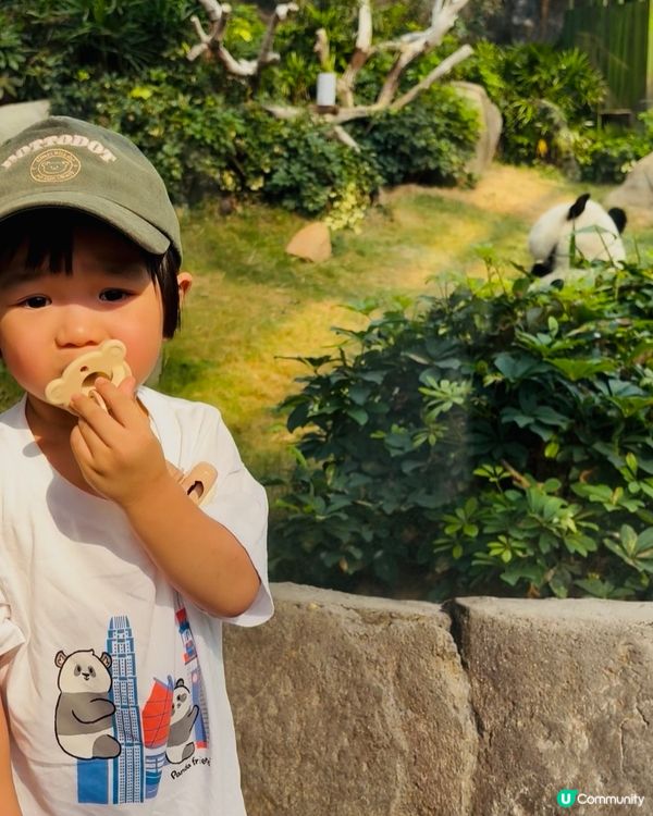 暑假去海洋公園玩🐼！一家大細勁開心🥳！