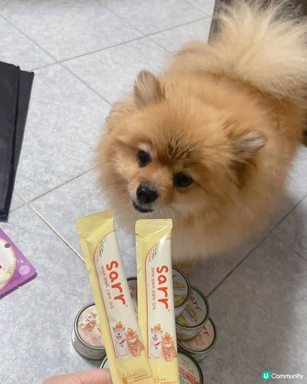 2025寵物展戰利品✨️