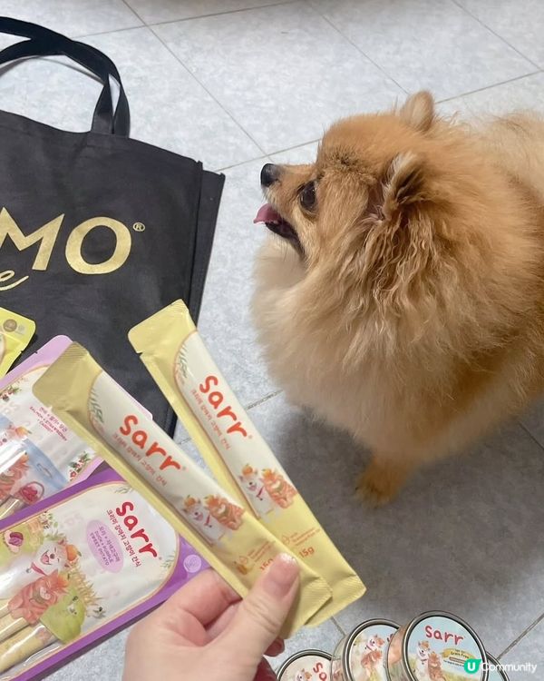 2025寵物展戰利品✨️