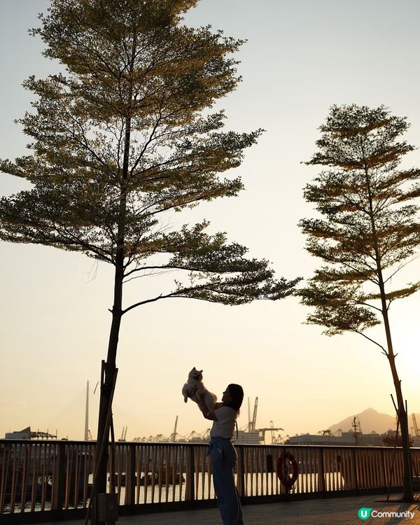 睇日落好地方🌅