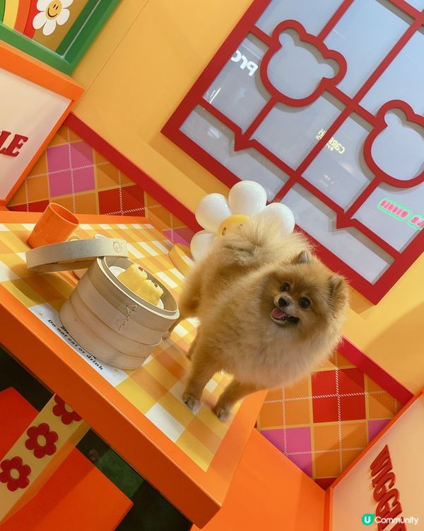 Airside - Wiggle Wiggle期間限定店🌈